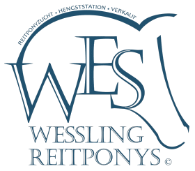 Reitponys Wessling